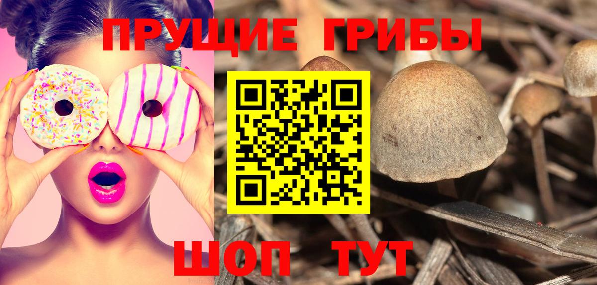 где можно купить   Псилоцибиновые грибы ЛСД  Вход с VPN  Волжский  Псилоцибиновые грибы прущие грибы 